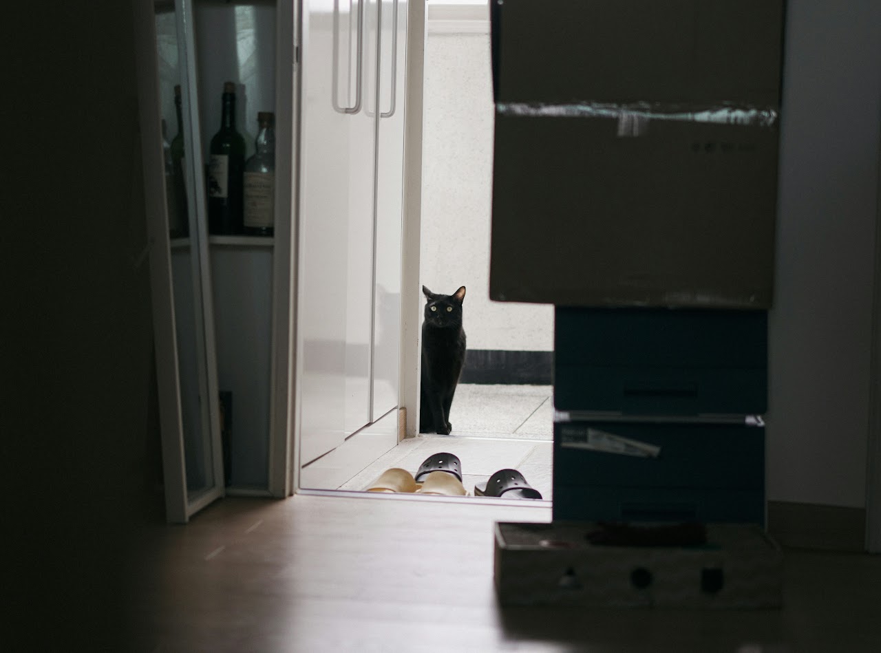 move-in / move-out service